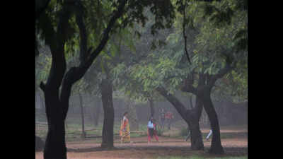 Cubbon Park to harvest 10 lakh litres of rainwater