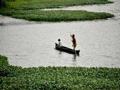 Greens unite against encroachments and pollution at Akkulam lake ...