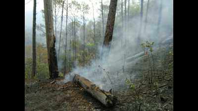 Rain In Parts Of Uttarakhand Brings Relief From Forest Fires | Dehradun ...