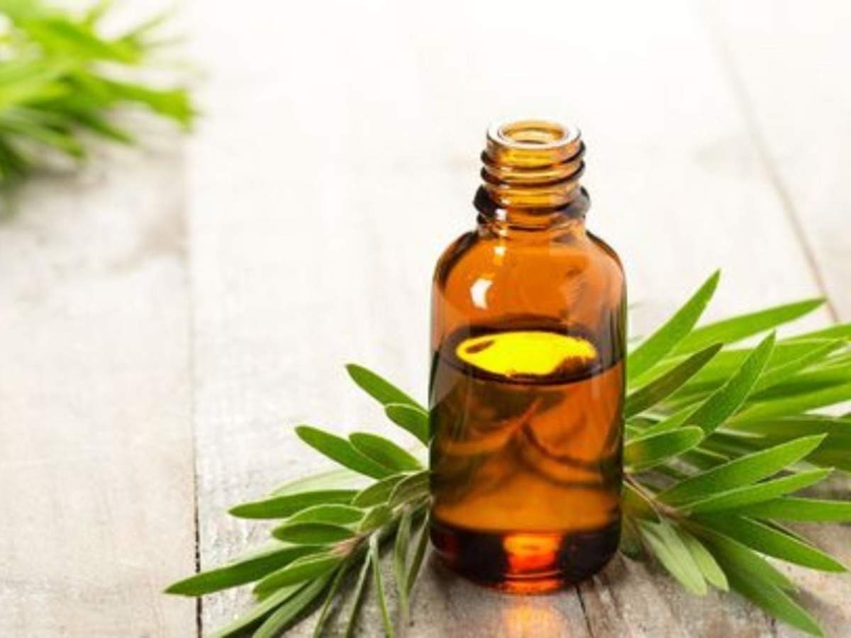 Tea Tree Oil For Head Lice: Ways To Use Tea Tree Oil To Treat Head Lice