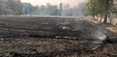 Gardner shifted after stubble burning at SP’s residence