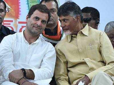 Rahul good leader, will reach consensus on PM candidate after tallying results: Chandrababu Naidu