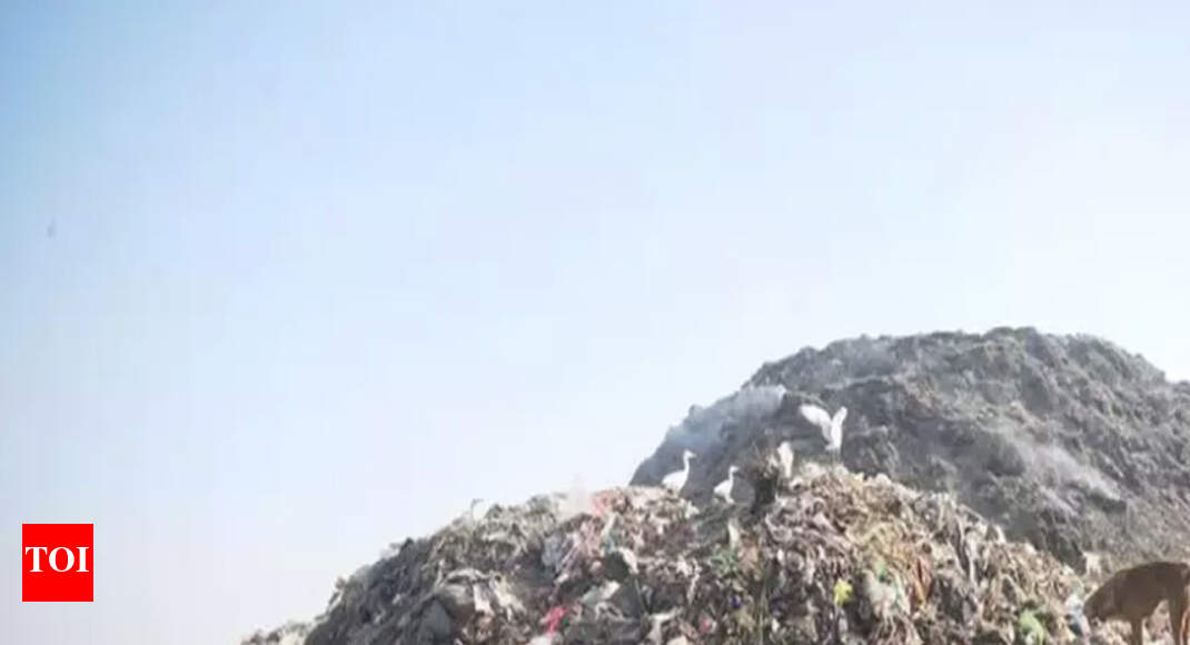 561 contractors in race to clear B’luru garbage