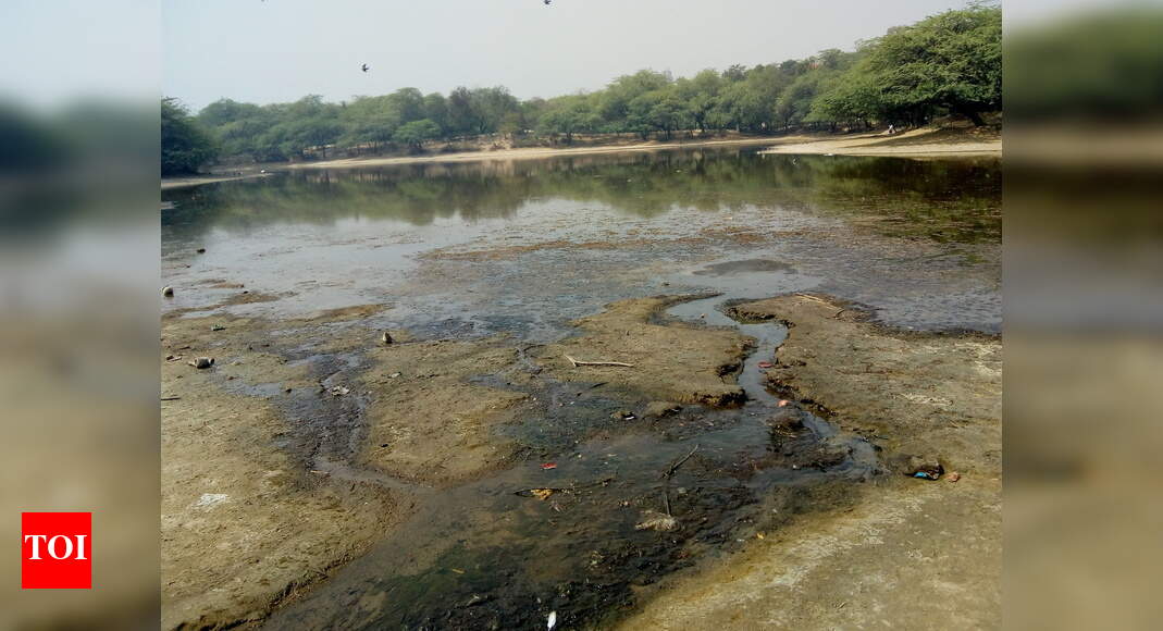 Dirty & filthy lake needs urgent attention Times of India