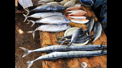 Fish prices soar as ban ups demand