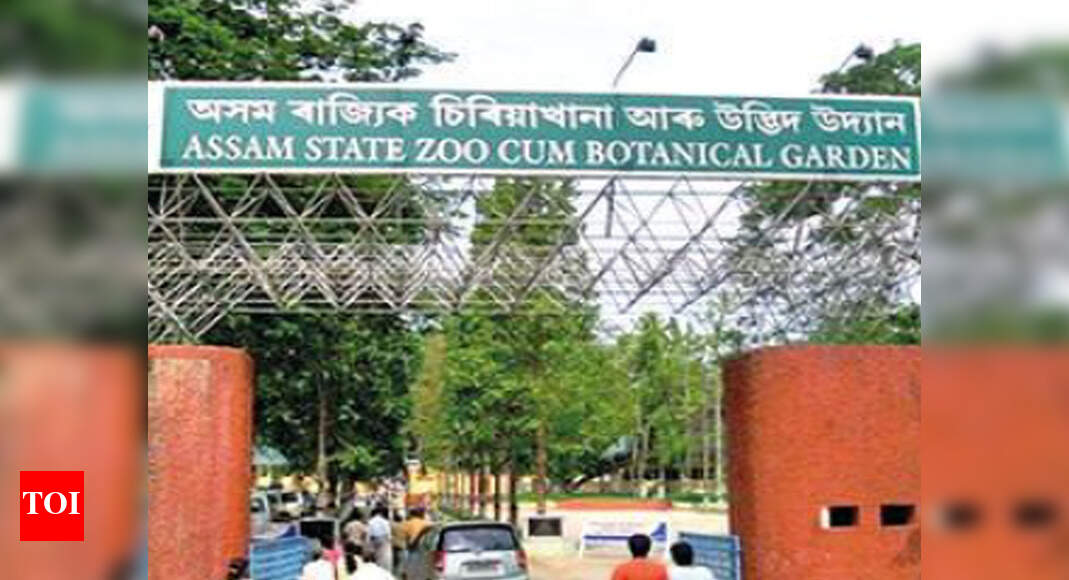 Assam zoo to keep trek routes open everyday Guwahati News Times of