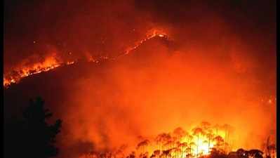 Uttarakhand: With forest fire raging on, minister unhappy with officers’ foreign trip