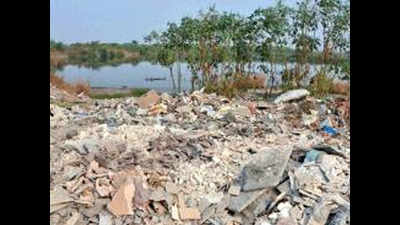Navi Mumbai SEZ ordered to stop dumping debris in Uran wetlands