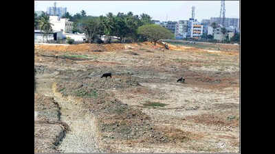 42% of Karnataka’s 3.7k lakes may remain bone dry this monsoon