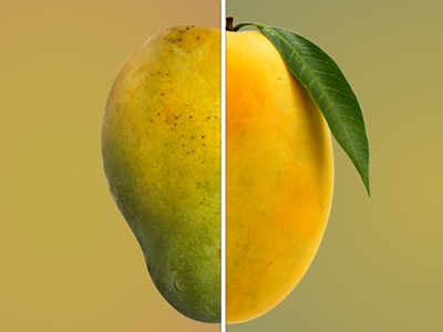 Is your mango safe to eat?