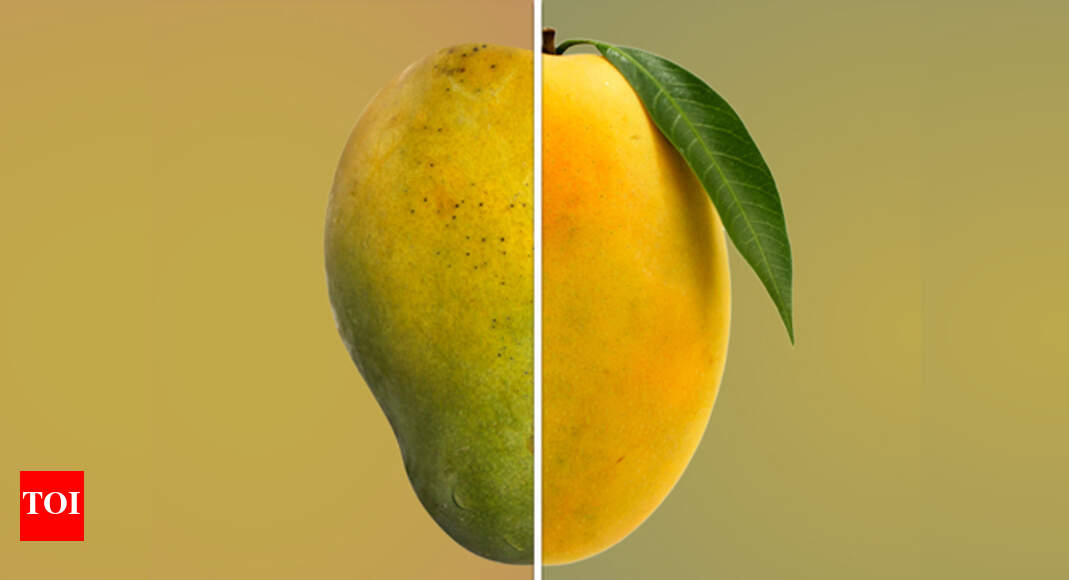 Is your mango safe to eat? India News Times of India