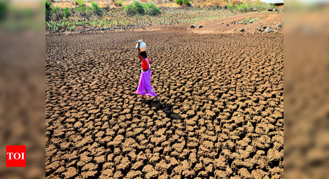 Drought Set To Get Acute In Maharashtra Government Takes Stock Mumbai News Times Of India 6965