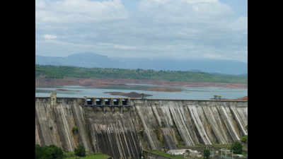Five dams in Nashik district to hit zero water storage level