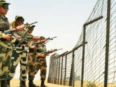 BSF apprehends a Pakistani national in Punjab's Gurdaspur - TheDailyGuardian