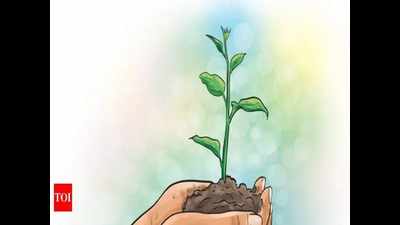 UP govt plan to dole out 15 crore plants hits funding roadblock