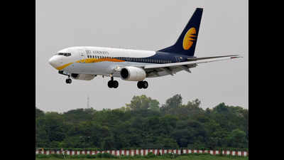 Suspension of Lufthansa, Jet flights hits e–tourist visa service at airport