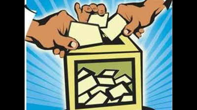 EC receives less than 50% postal ballots, more awaited