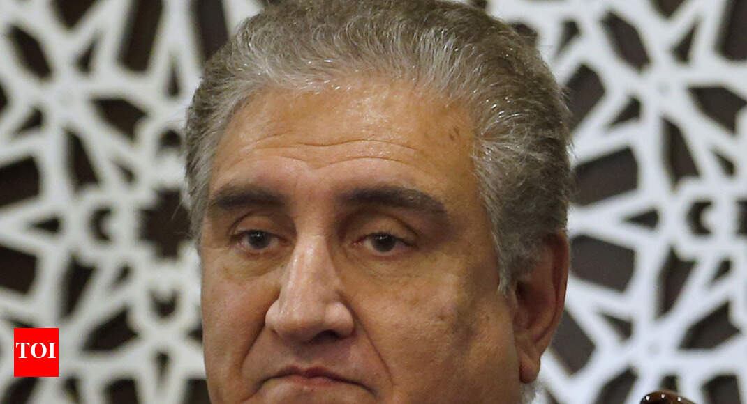 'Conflict resolution' must for peace in South Asia: Qureshi at SCO meet