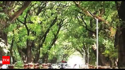 Tree Ambulance launched in Chennai
