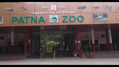 Patna Zoo welcomes a baby giraffe