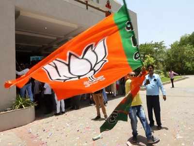 BJP wins Daman and Diu Lok Sabha seat
