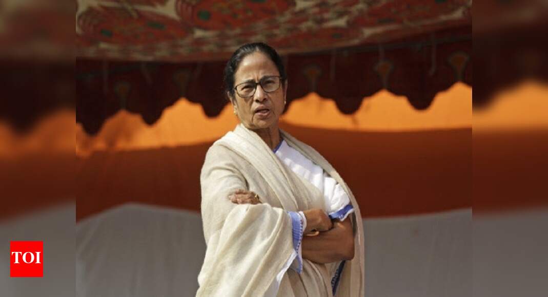 Didi has a battle on her hands | India News - Times of India
