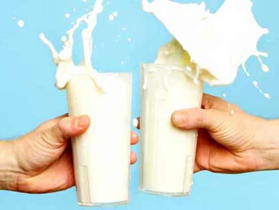Buffalo milk vs. Cow milk. Find out which one is better