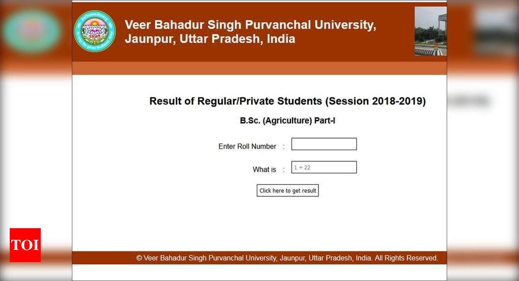 VBSPU UG PG Annual Semester 2018 19 results released check