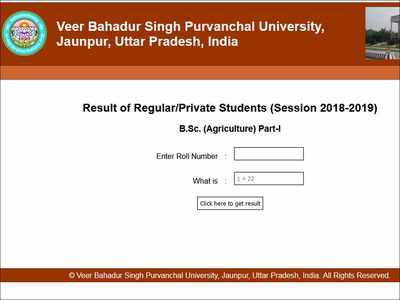 VBSPU UG PG Annual Semester 2018 19 results released check