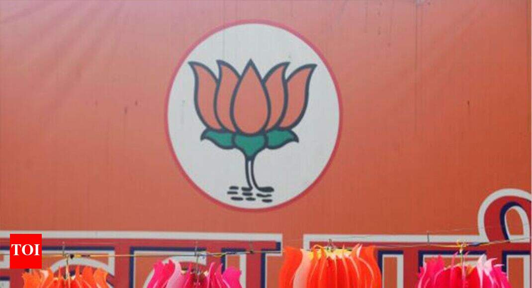 BJP's mammoth margins lay in Gujarat