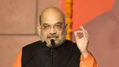 People have rejected dynasty, caste and appeasement politics: Amit Shah
