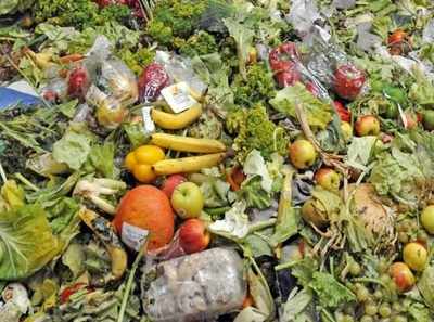 Waste food may help cut fossil fuel use: Study