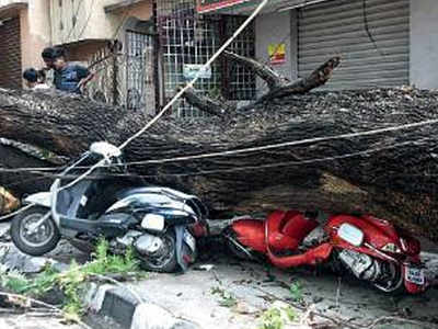 saturday woes deluge downpour bengalureans brings night vijaynagar uprooted damaged rain vehicles tree during