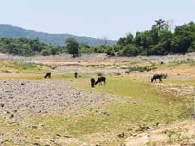 Agumbe, once wettest place, stares at severe water crisis