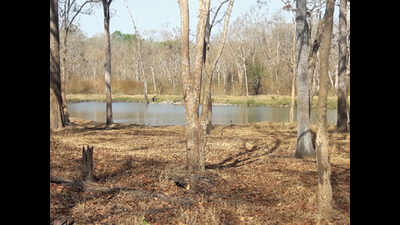 Forest department to revive ten lakes in Nagarahole Tiger Reserve
