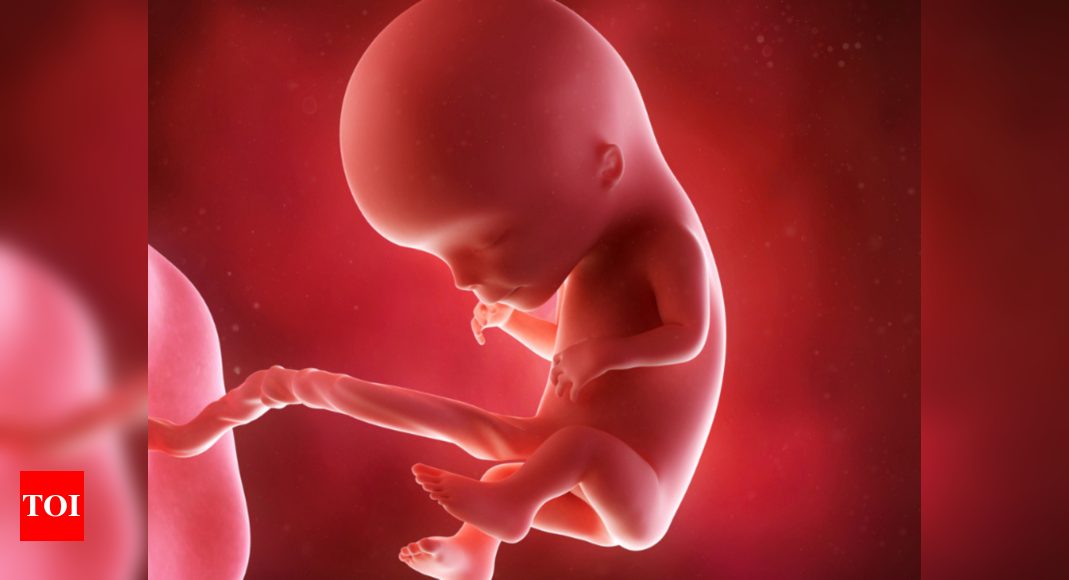 small baby in utero
