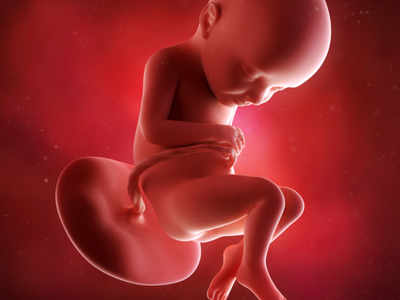 32 Weeks Pregnant: Baby Development, Symptoms & Signs