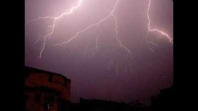 Lightning kills 3 in north Andhra dists