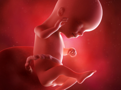 16 weeks pregnant: Your baby is the size of a pear!