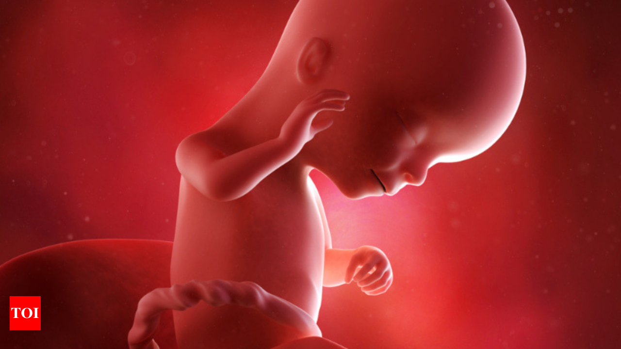 16 Weeks (4 Months) Pregnant: Baby Development & Size, Body