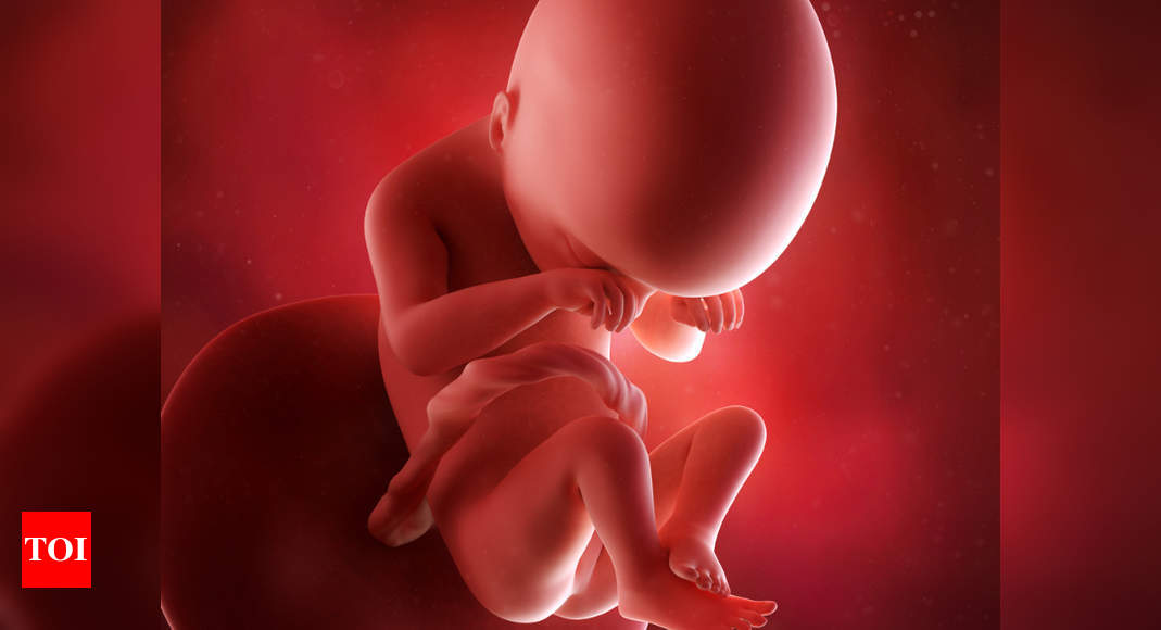 19 Weeks Pregnant Your Baby Is The Size Of A Pomegranate Times Of India