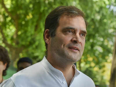 Congress leader seeks free hand for Rahul Gandhi to undertake party overhaul