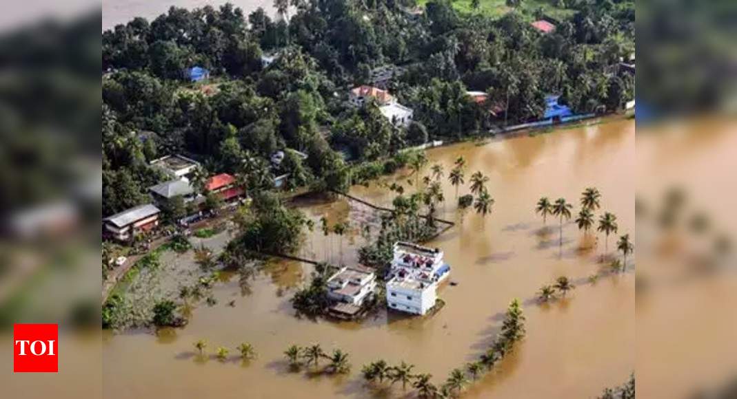 Year after flood, Kerala first state to levy 1% cess on GST - Times of ...