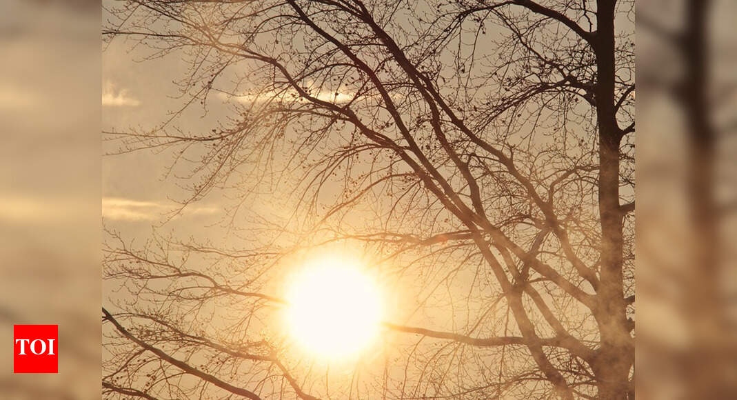 Mercury rising in Delhi, may touch 45°C in 3 days | Delhi News - Times ...