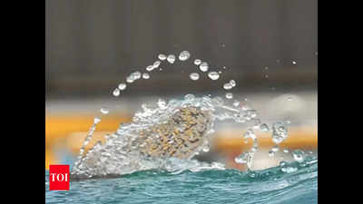 Pune: Water stock in Khadakwasla irrigation circle drops to 13%