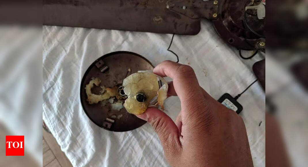 Tourists find hidden camera in Uttarakhand hotel room Dehradun News