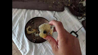 Tourists find hidden camera in Uttarakhand hotel room | Dehradun ...