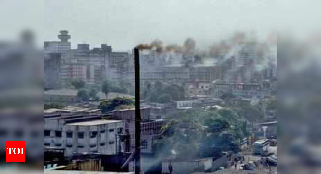 Severe air pollution may cause birth defects, deaths: Study - Times of ...