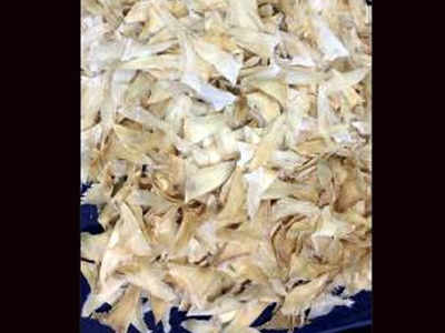Smuggling bid foiled, Rs 32 lakh worth shark fins seized at airport