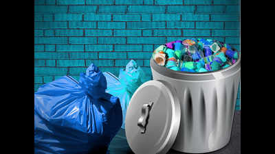 As Goa stinks, CM starts garbage challenge